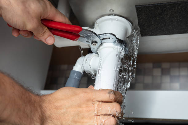 Best Flooded house restoration  in Newellton, LA