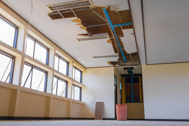 Best Water damage restoration mold remediation  in Newellton, LA