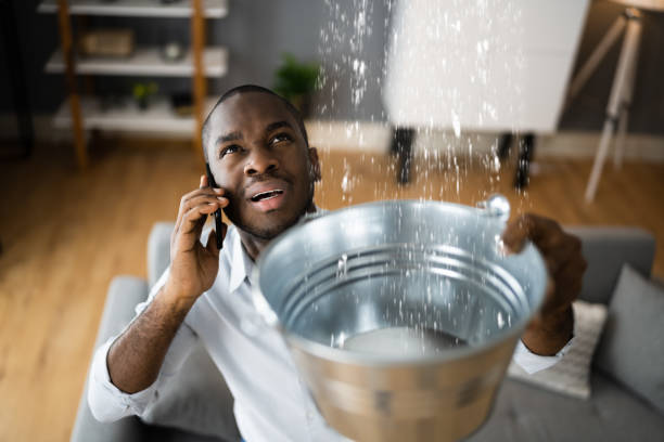  Newellton, LA Water damage restoration Pros