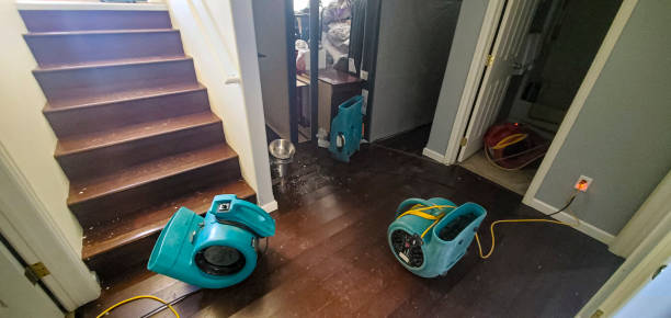 Best Water damage restoration experts  in Newellton, LA