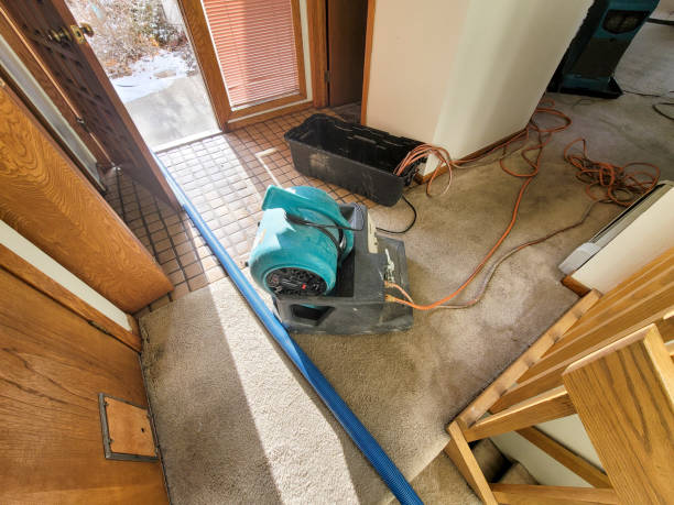Best Commercial water damage restoration  in Newellton, LA