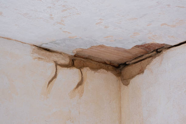 Best Sewage cleanup and water damage restoration  in Newellton, LA