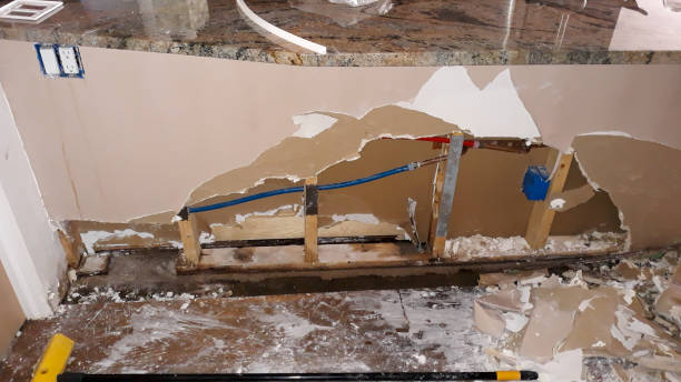 Best Water damage restoration near me  in Newellton, LA