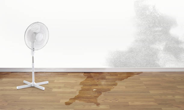 Best Water damage restoration near me  in Newellton, LA