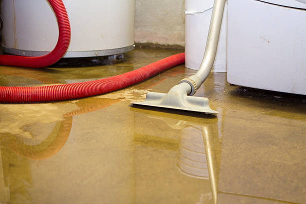 Best Residential water damage restoration  in Newellton, LA
