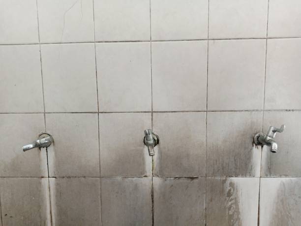 Best Professional water damage repair  in Newellton, LA