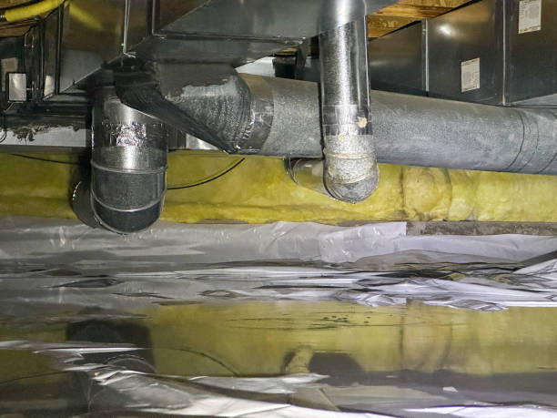 Trusted Newellton, LA Water damage restoration Experts