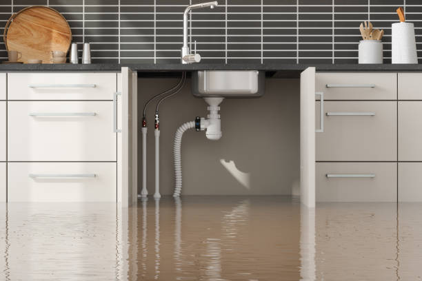 Best Water damage cleanup near me  in Newellton, LA