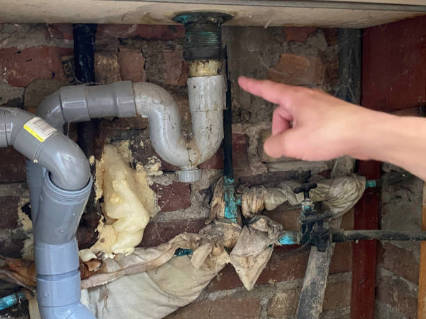 Best 24/7 water damage repair  in Newellton, LA