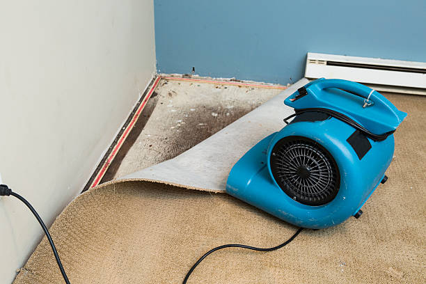 Best Basement water damage restoration  in Newellton, LA